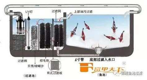 過濾池設計